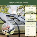 Vego Pacific Greenhouse - 8.5Ft Wide