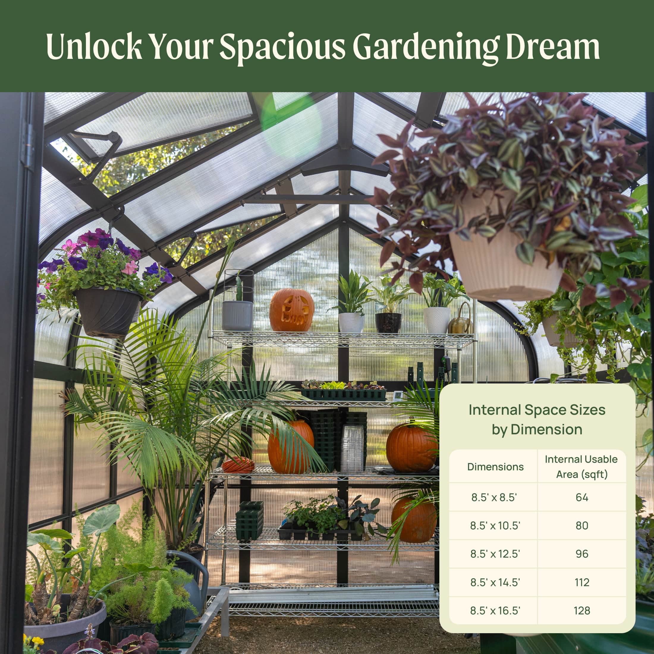 Vego Pacific Greenhouse - 8.5Ft Wide