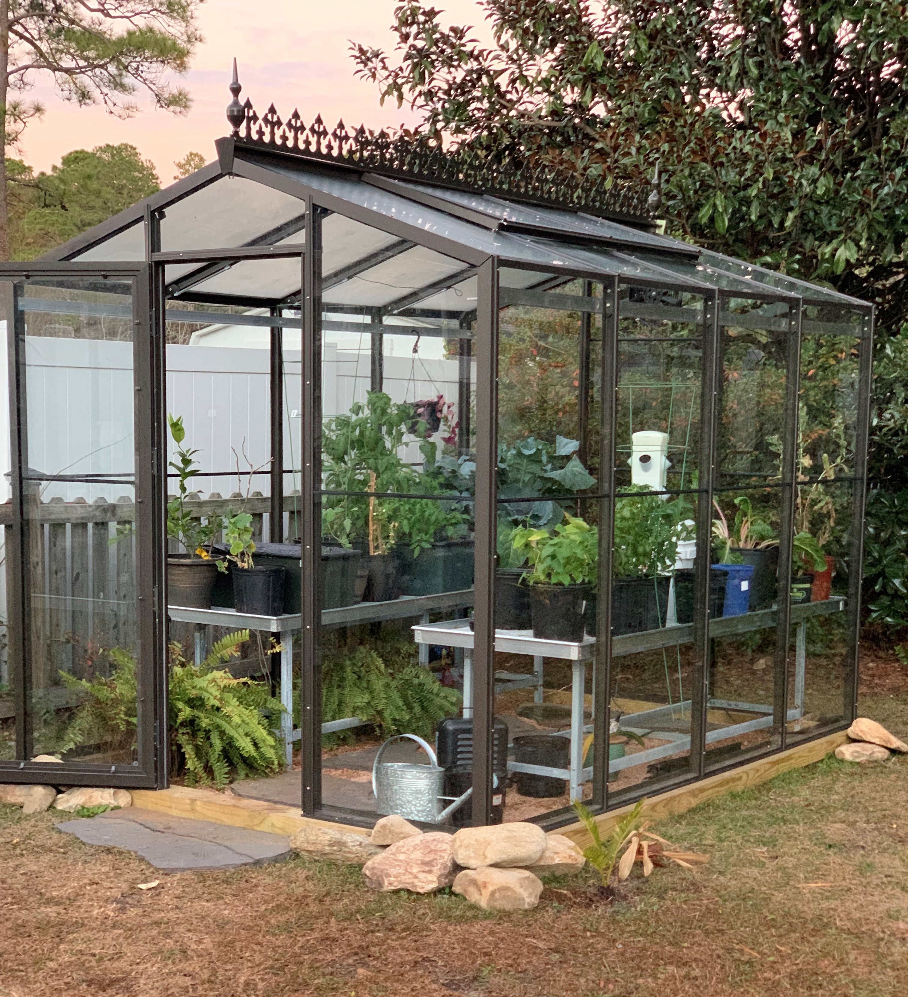 Palmetto 8' x 10' Greenhouse by Janco