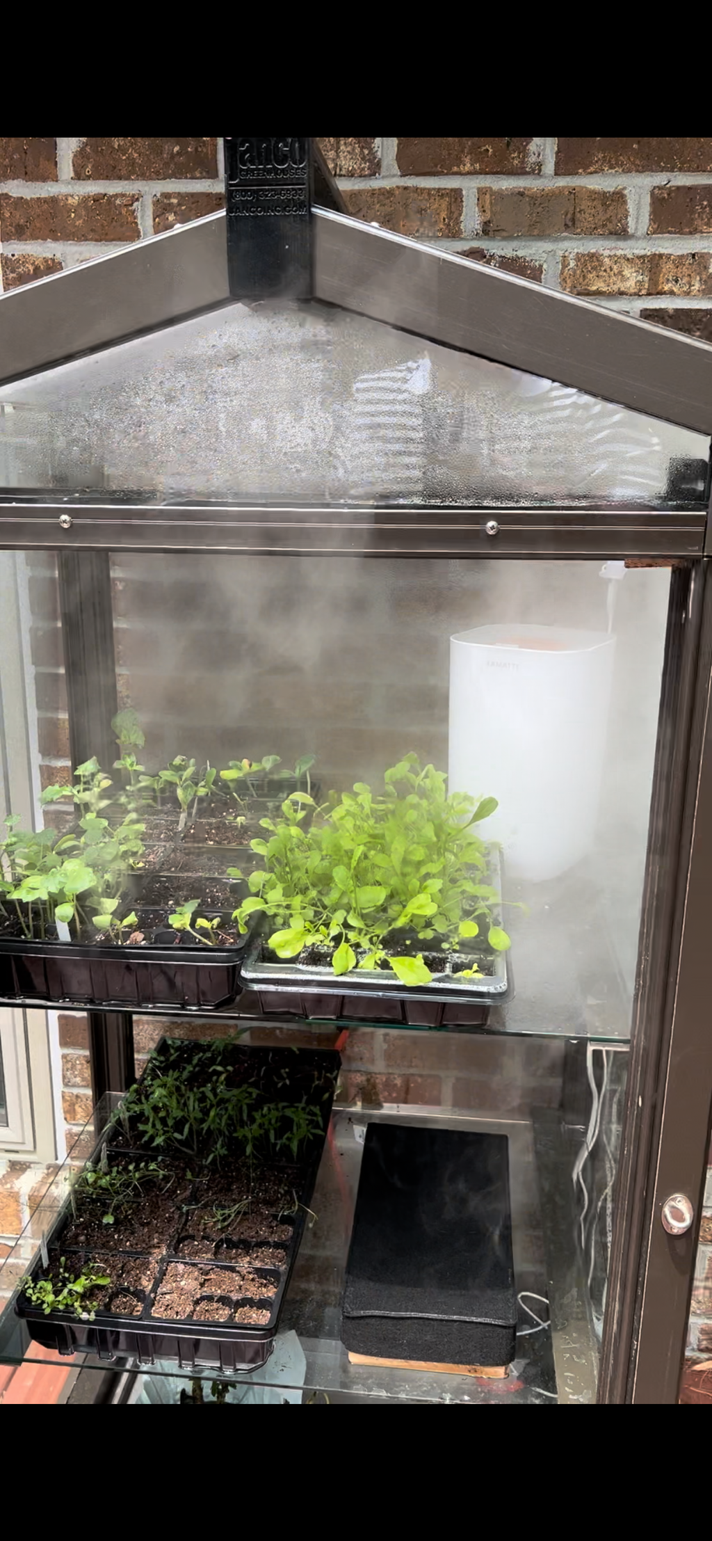 Janco Garden Curio Greenhouse Cabinet
