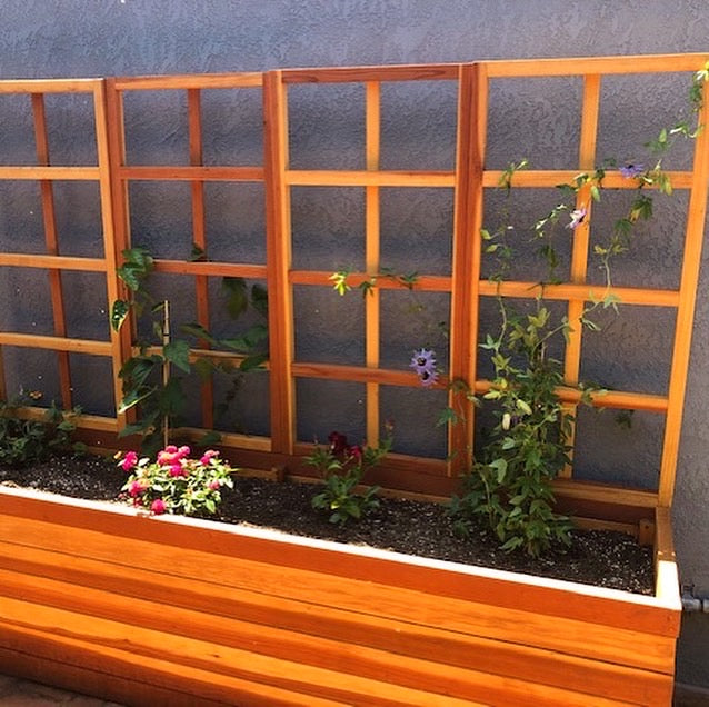 San Laura Solid Redwood Planter with Integrated Trellis