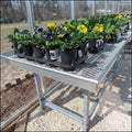 Janco Professional Series Aluminum Plant Bench