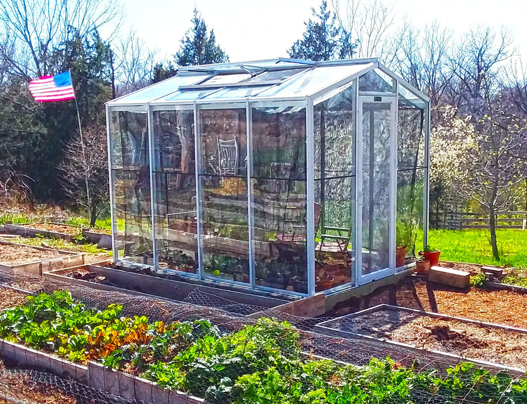 Palmetto 8' x 10' Greenhouse by Janco
