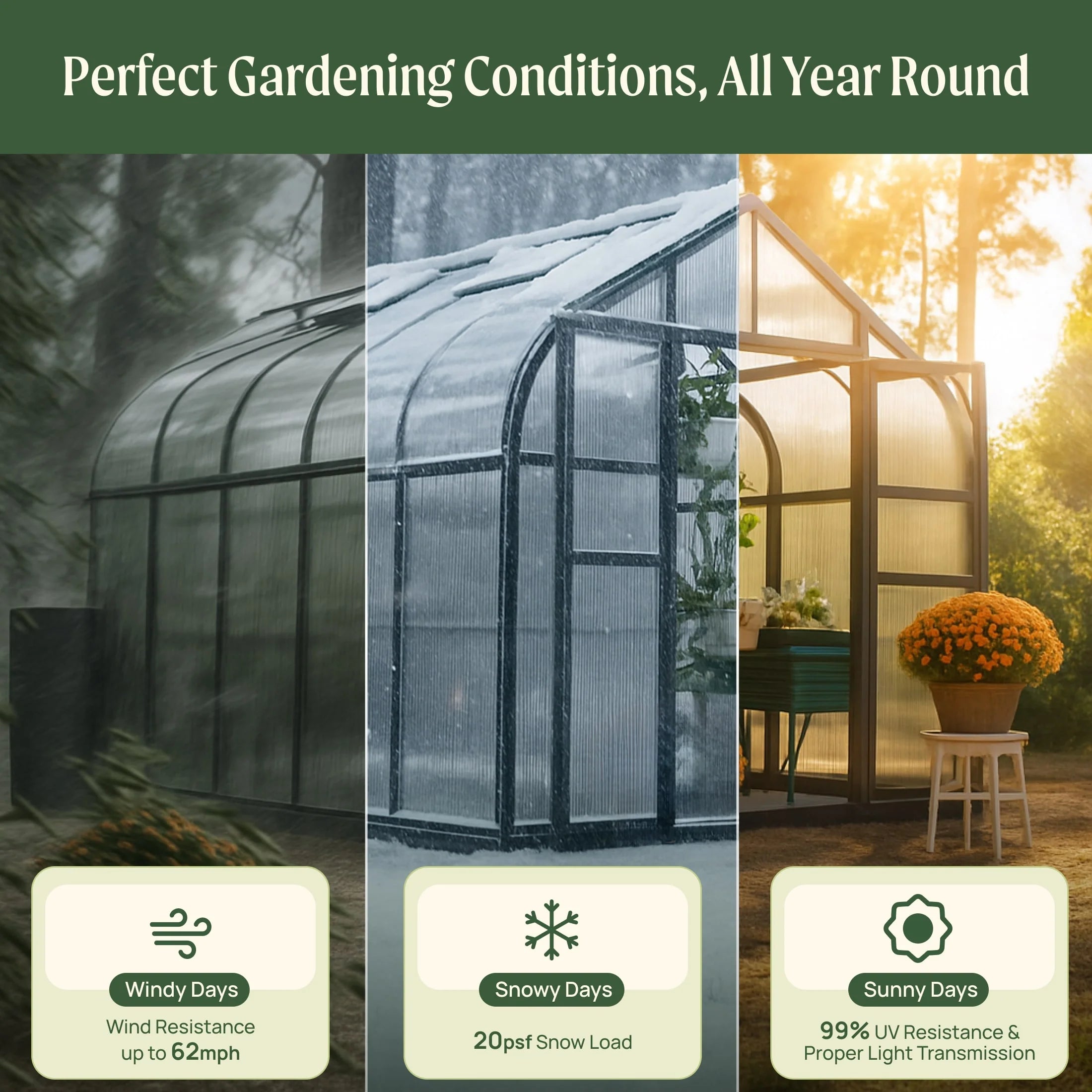 Vego Pacific Greenhouse - 8.5Ft Wide