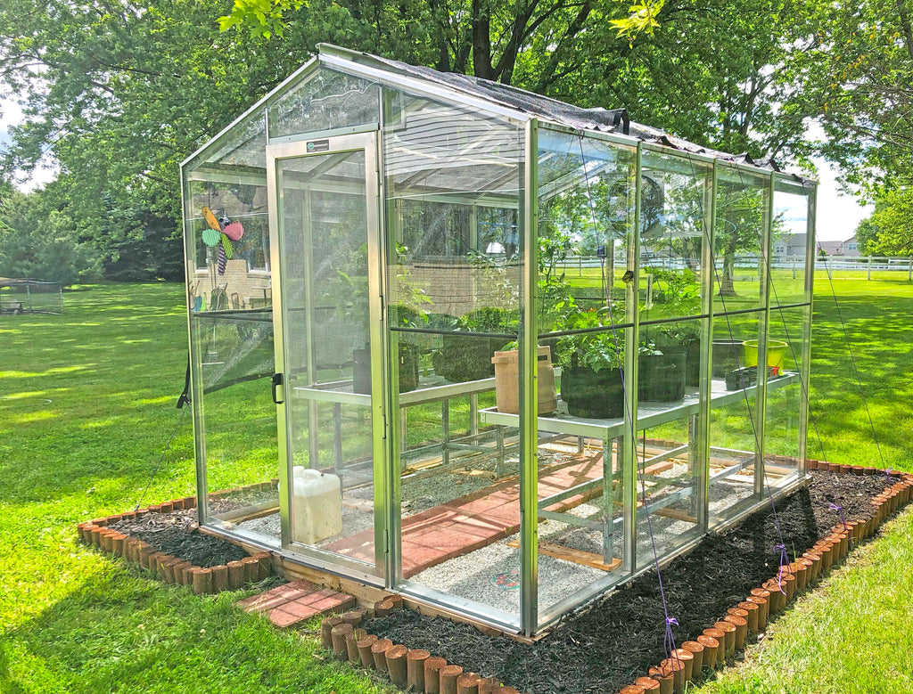 Palmetto 8' x 10' Greenhouse by Janco